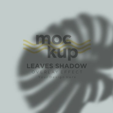 Leaves Shadow Product Mockups 315788