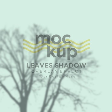 Leaves Shadow Product Mockups 315837