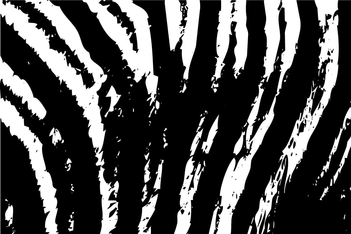 Black and white tiger skin texture