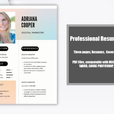 <a class=ContentLinkGreen href=/fr/kits_graphiques_templates_cv-modeles.html>CV Modles</a></font> template moderne 316777