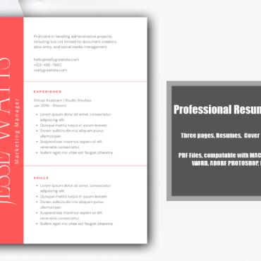 Professional Template Resume Templates 316797