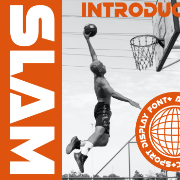 Fonts Display  316912