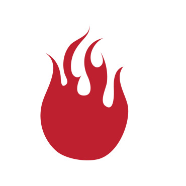 Flame Icon Logo Templates 317173