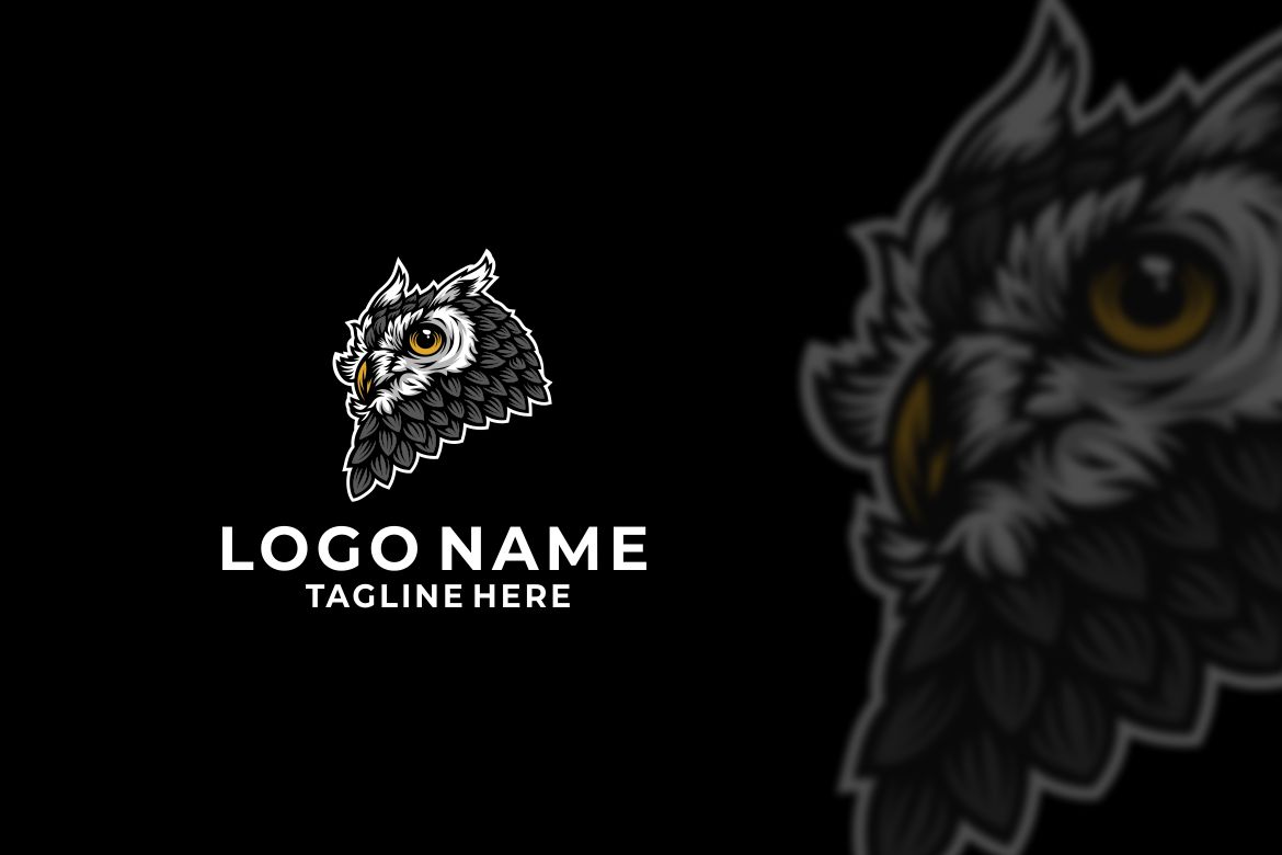 Owl Head Graphic Logo Design