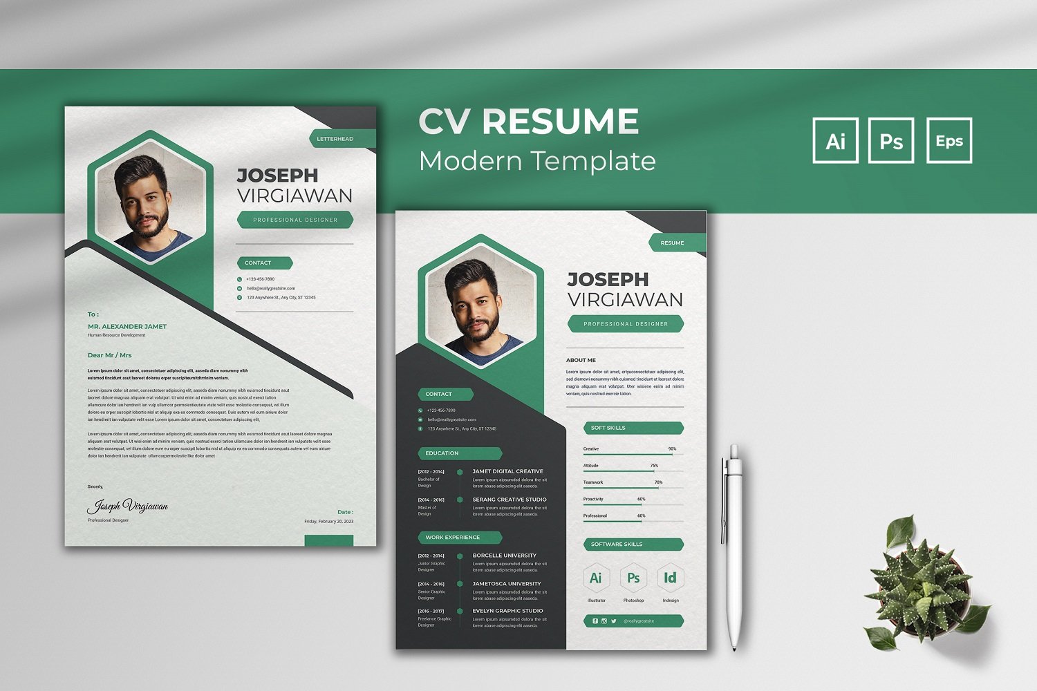 Professional Vacancy CV Resume