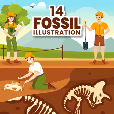 Skeletons Fossil Illustrations Templates 318514