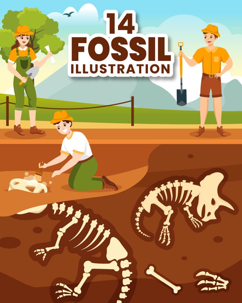 14 Fossil Dinosaurs Skeletons Illustration