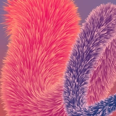 <a class=ContentLinkGreen href=/fr/kit_graphiques_templates_background.html>Background</a></font> realistic fur 318718