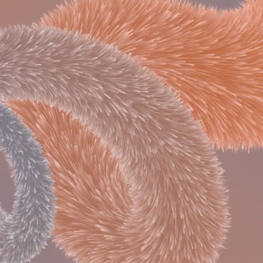 Realistic Fur Backgrounds 318736