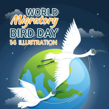 Migratory Bird Illustrations Templates 320376