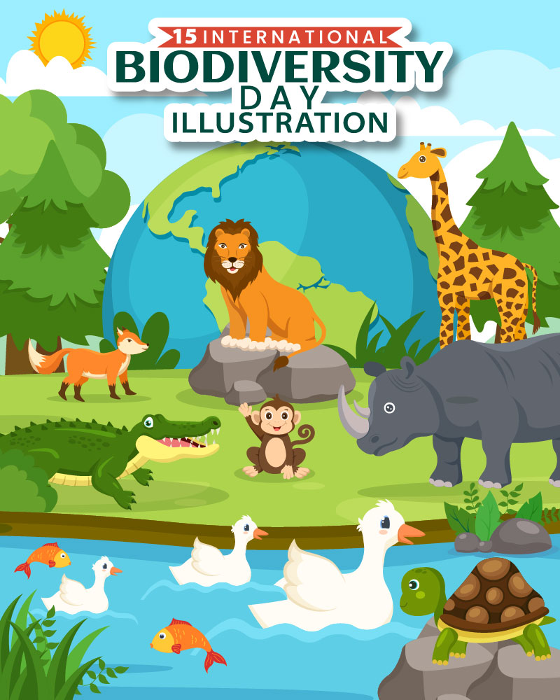15 World Biodiversity Day Illustration