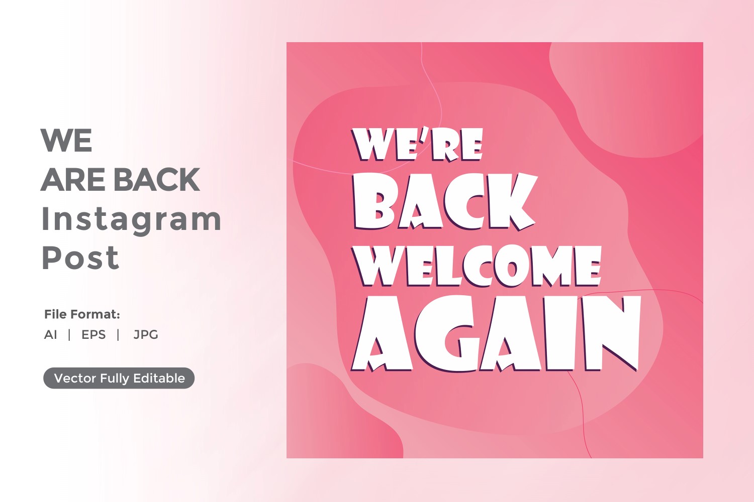 We are back Instagram post  03