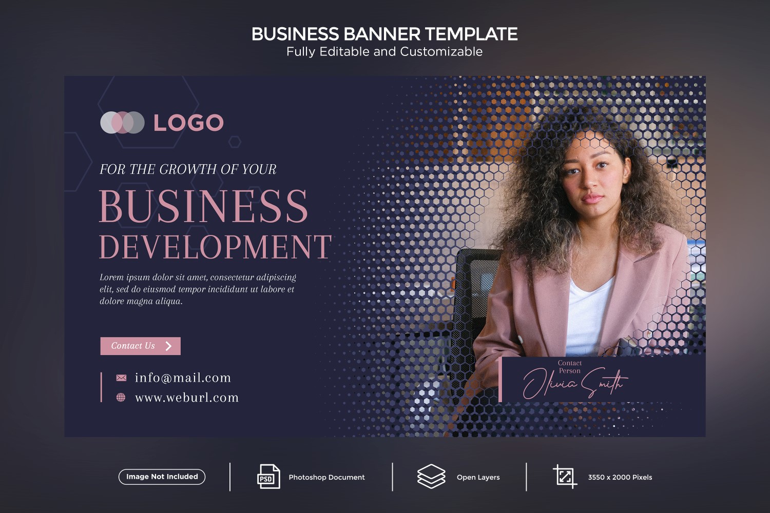 Business Development Banner Design Template.