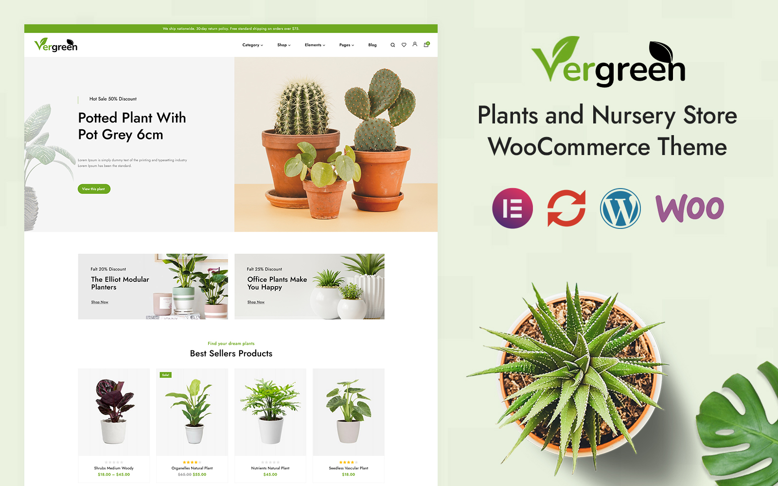 Vergreen - Plant & Nursery Store Elementor WooCommerce Responsive Theme