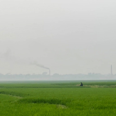 Plantation Scenery Stock Video 322005