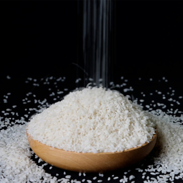 Seed Sushi Stock Video 322008