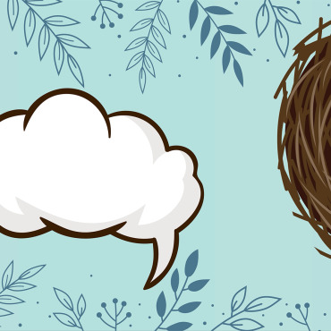 Spring Rabbit Stock Video 322051