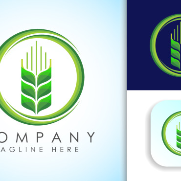 Vector Logo Logo Templates 322505