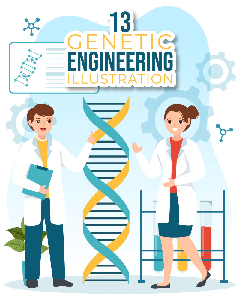 13 Genetic Engineering and DNA Modifications Illustration