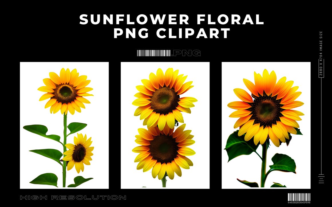 Sunflower Floral Premium PNG Clipart Vol.2