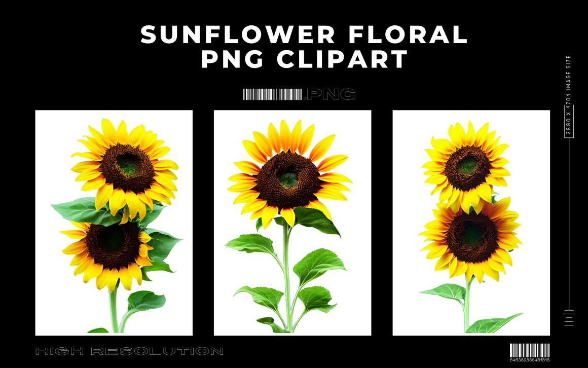 Sunflower Floral Premium PNG Clipart Vol.3