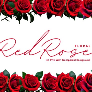 Rose Red Backgrounds 323220