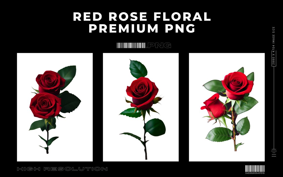 Red Rose Floral Premium PNG Vol.2