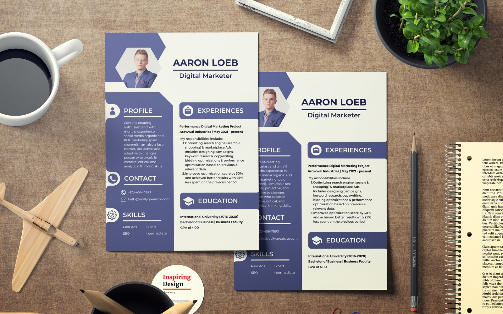 Blue and Gray Elegant Digital Marketing Resume Template