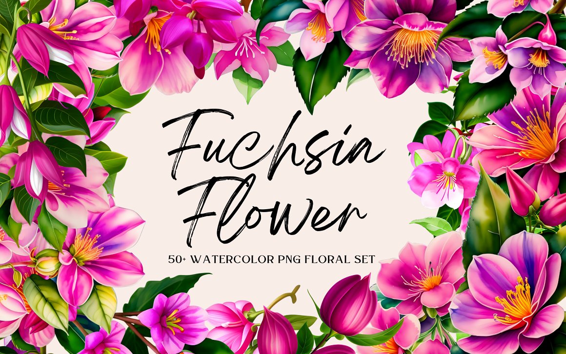 Watercolor Fuchsia Flower PNG Bundle