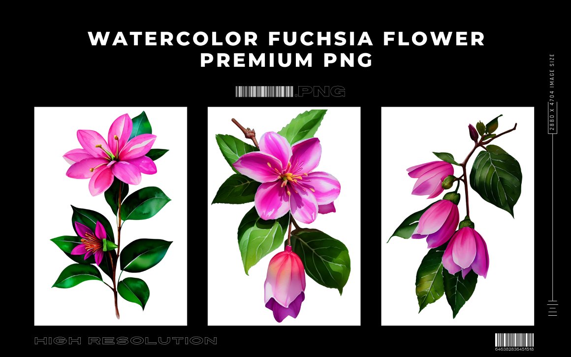 Watercolor Fuchsia Flower PNG Vol.1