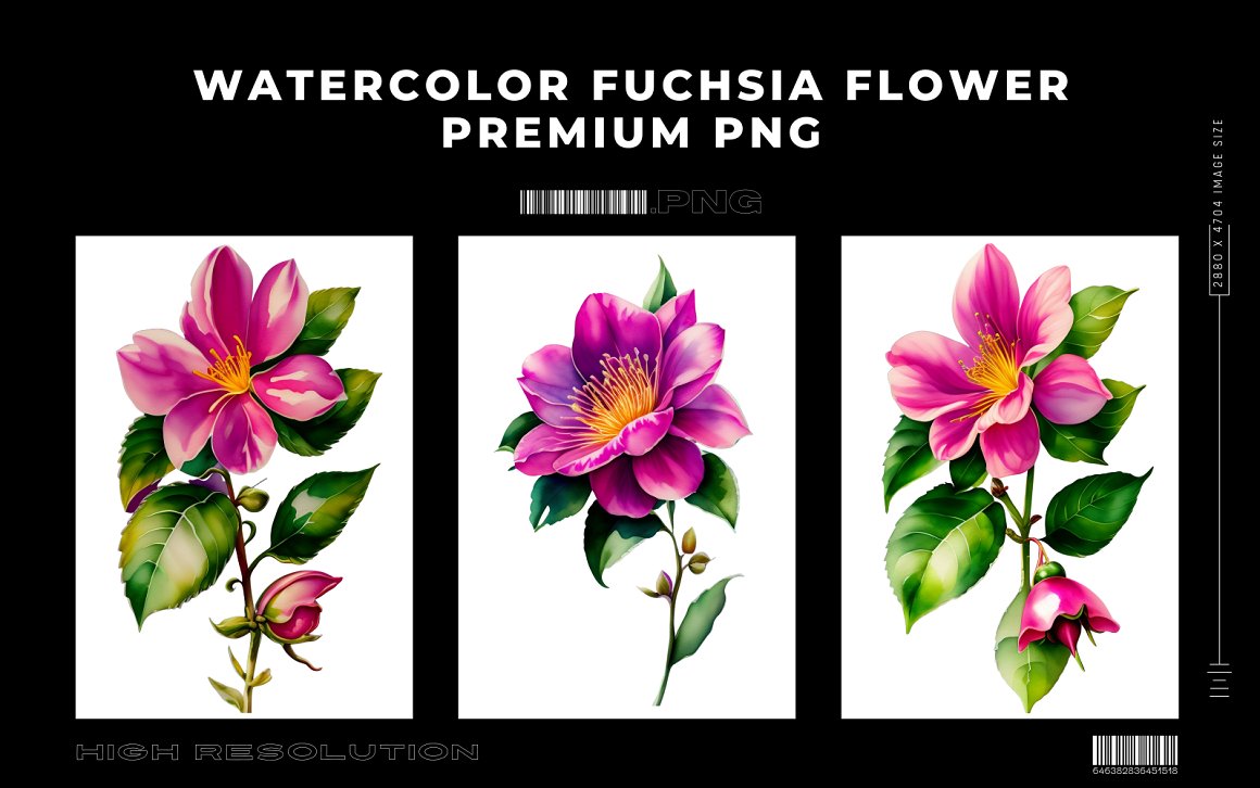 Watercolor Fuchsia Flower PNG Vol.6