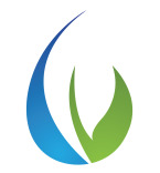 Logo Templates 323817