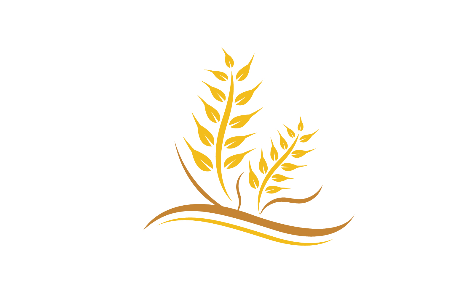 Agriculture wheat rice food logo v8