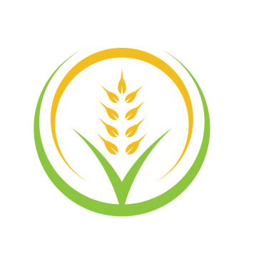 Seed Grain Logo Templates 324489