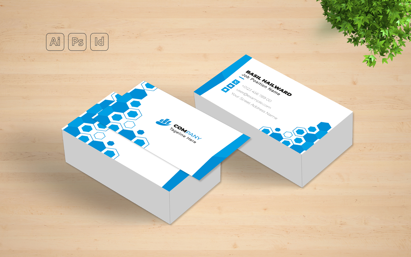 Business Card Template Design layout