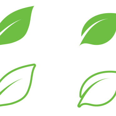 Green Nature Logo Templates 326710