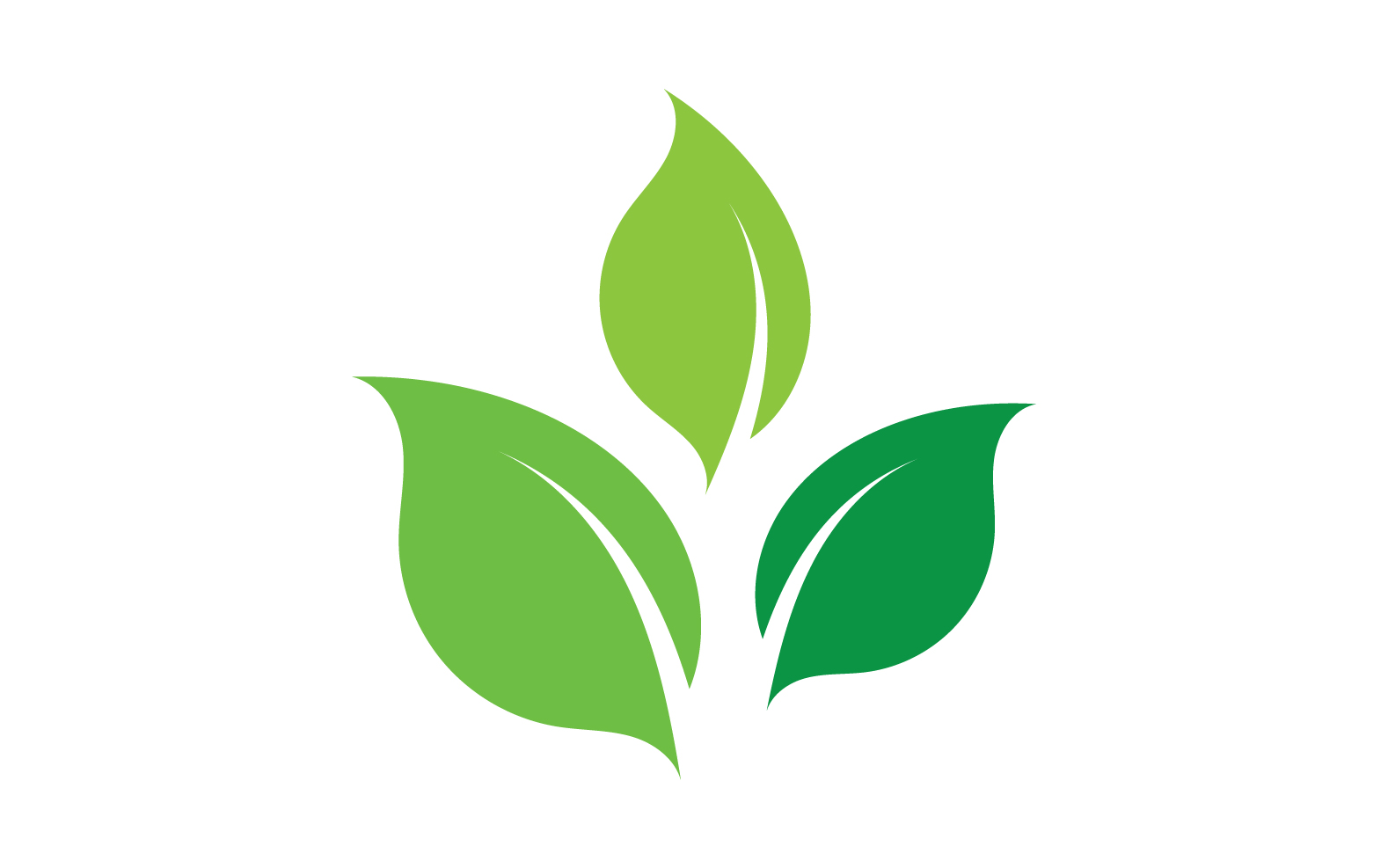 Leaf eco green tea nature fresh logo vector v19