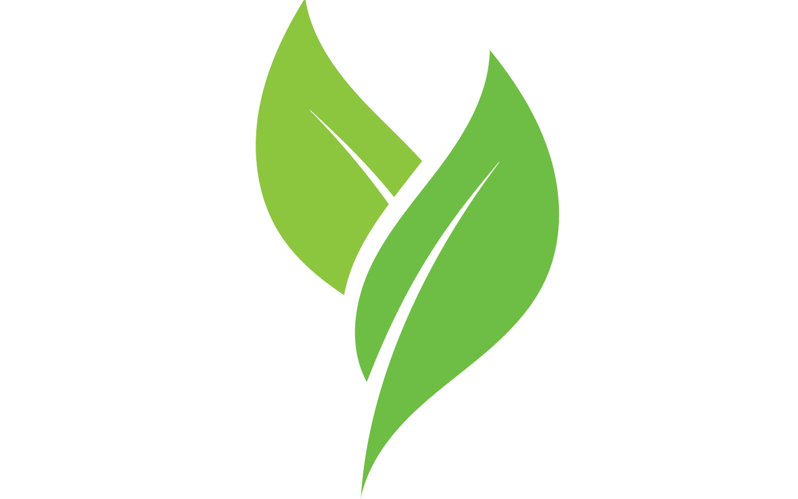 Leaf eco green tea nature fresh logo vector v42