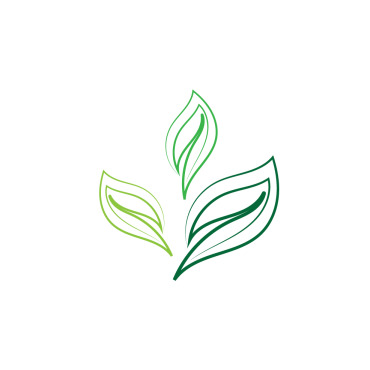 Leaf Green Logo Templates 327279