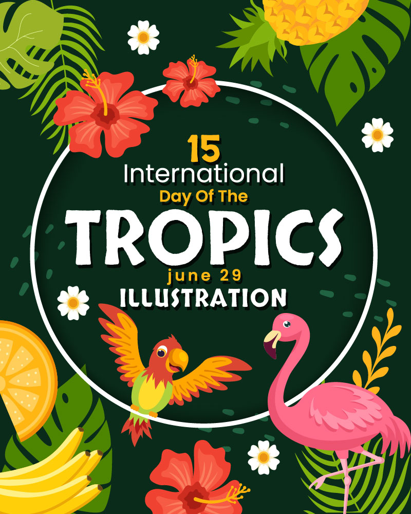 15 International Day of the Tropic Vector Illustration