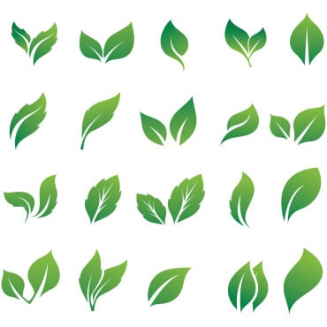 Leaf Green Logo Templates 327930