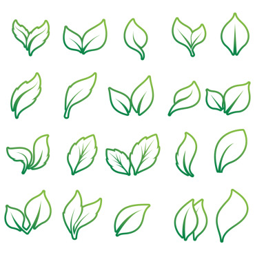 Leaf Green Logo Templates 327933