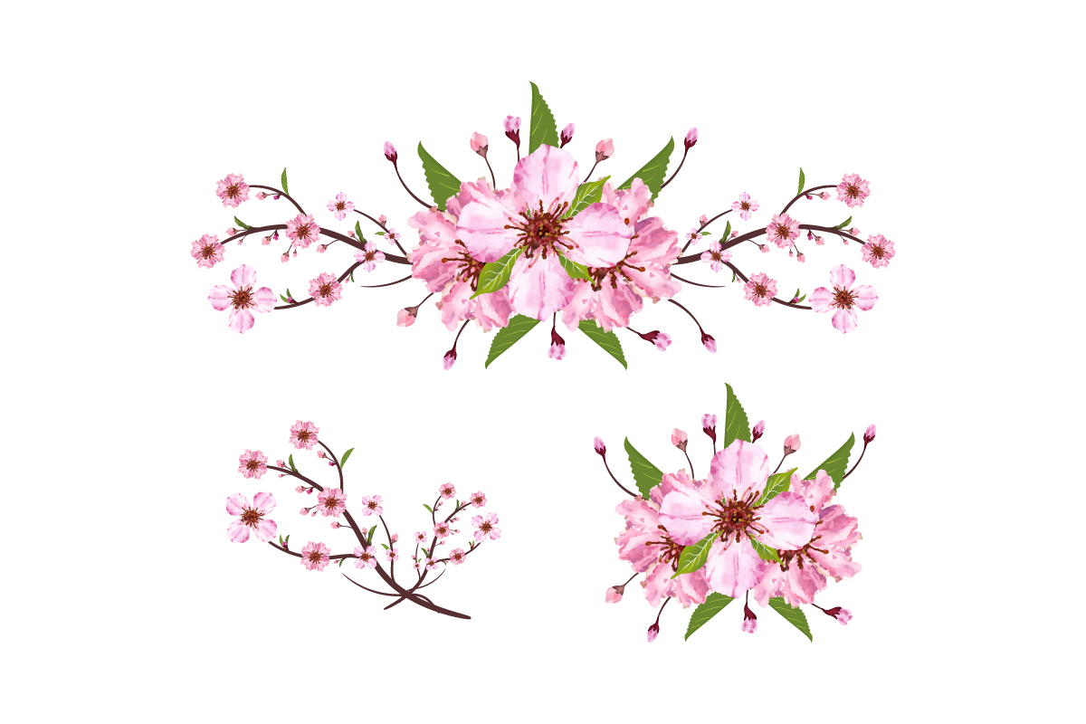 Cherry Blossom Branch with Pink Sakura vector