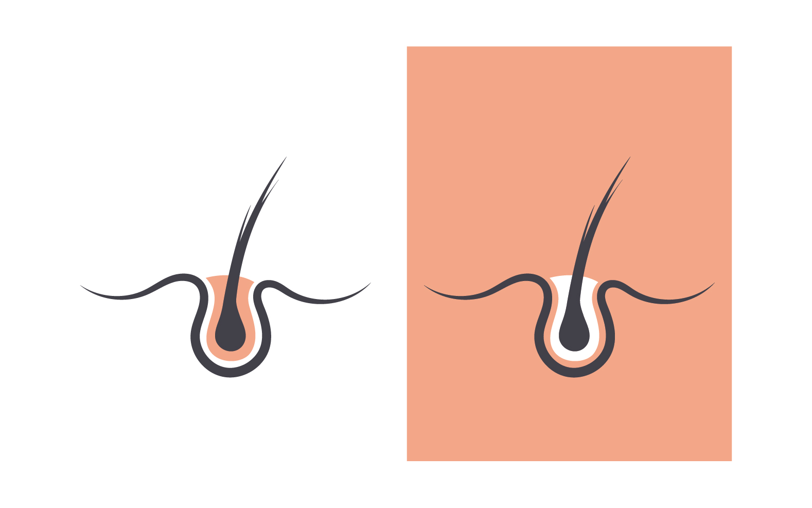 Hair health treatment logo and symbol design vector v6
