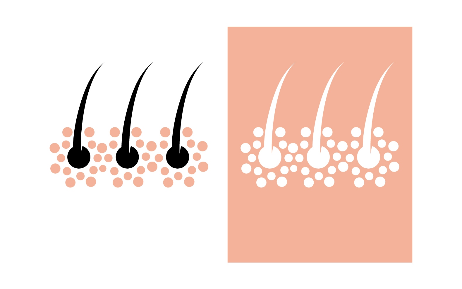 Hair health treatment logo and symbol design vector v13