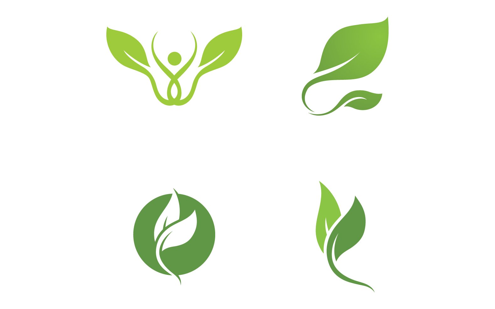 Eco leaf green tree tea leaf and nature leaf logo v4