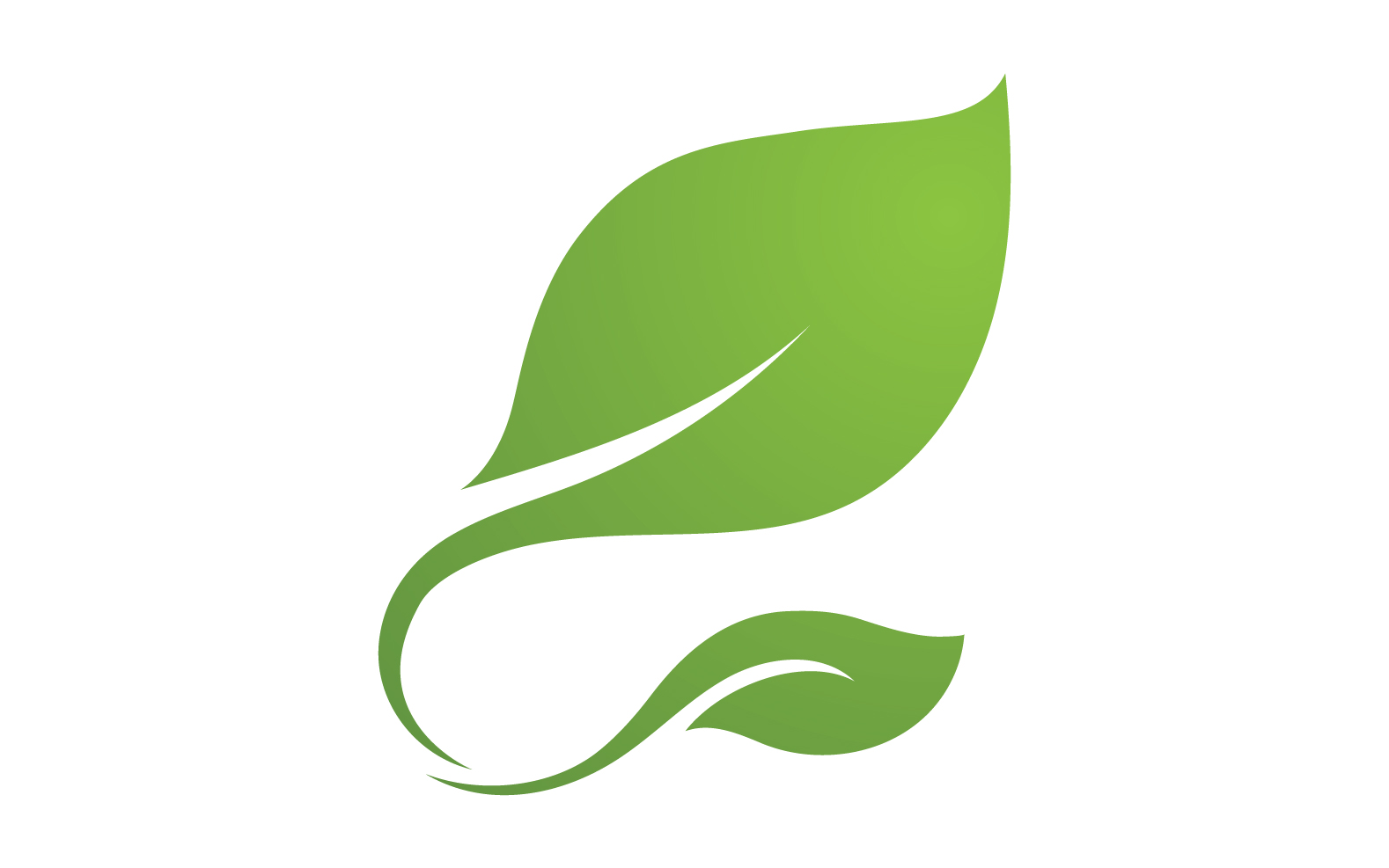 Eco leaf green tree tea leaf and nature leaf logo v11