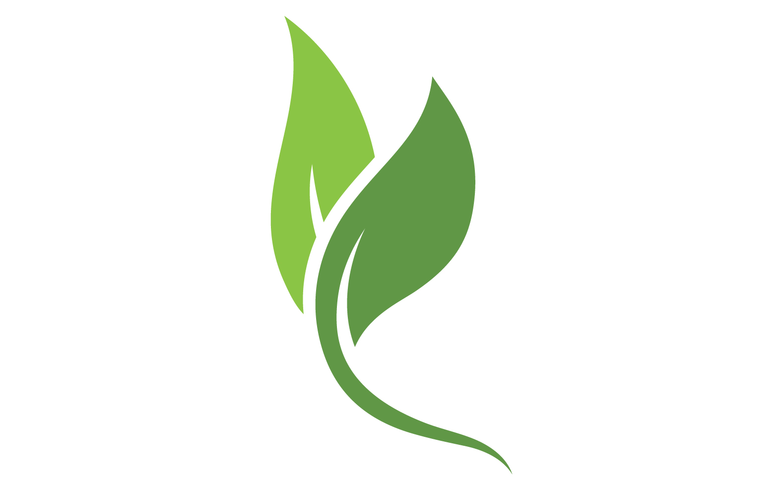 Eco leaf green tree tea leaf and nature leaf logo v19
