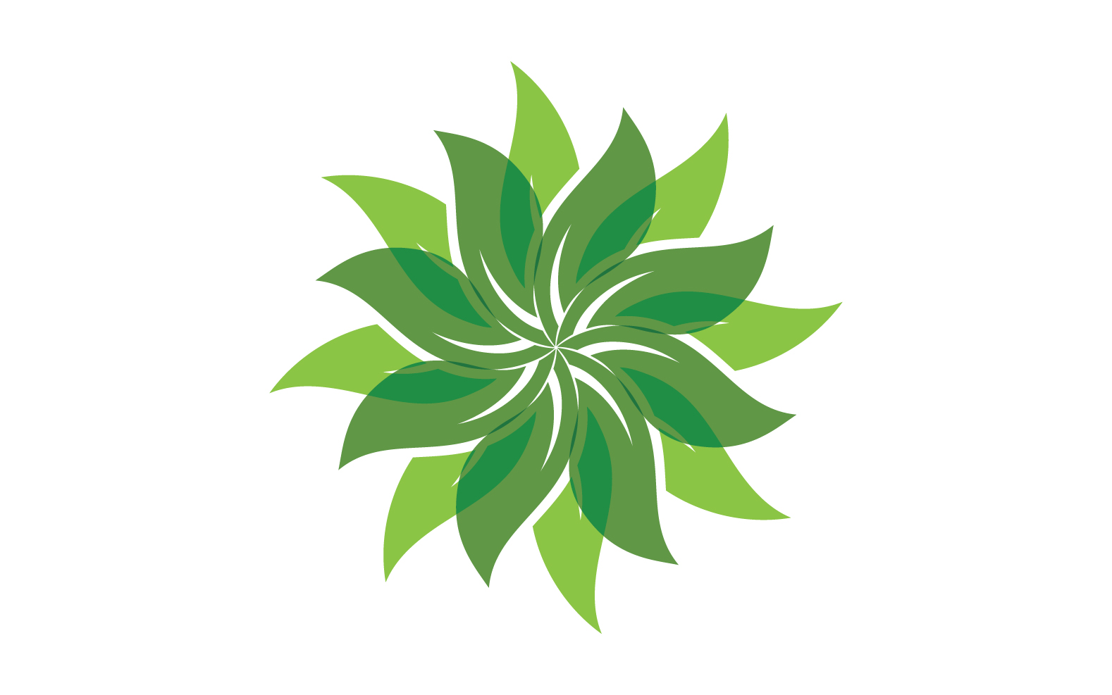 Eco leaf green tree tea leaf and nature leaf logo v35