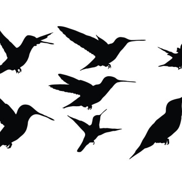 Silhouette Flying Illustrations Templates 328854